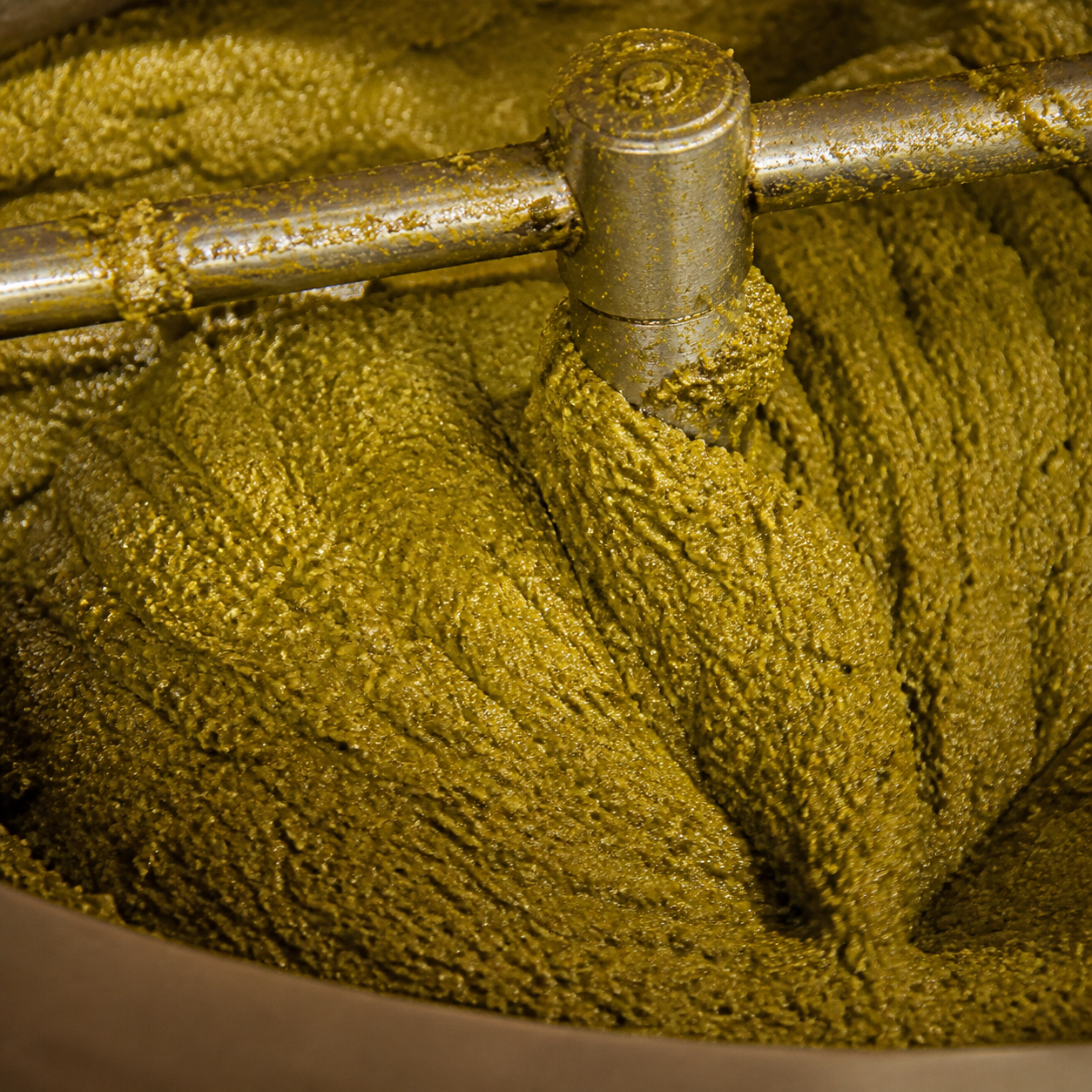 Pasta di olive nella gramola durante la lavorazione